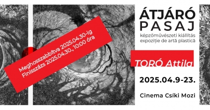 Alkotói tárlatvezetés