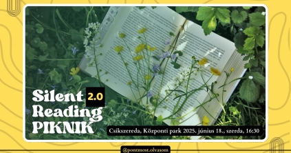 Silent Reading Piknik