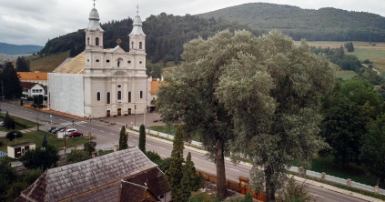 „Ikonikus” fákat mérnek fel