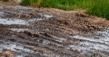 Új esélyt kaphatnak a Küküllő menti termőtalajok