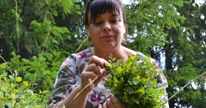 A hegyek gyógyító ajándéka