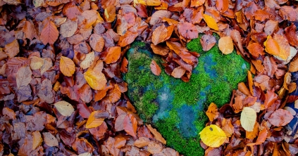 Szívecskék a természetben