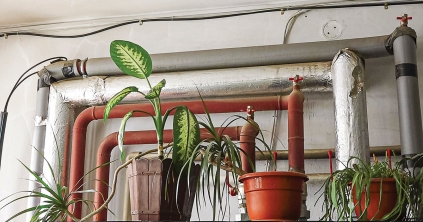 Magasabb árakra számíthatnak a fogyasztók