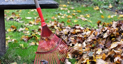 Összegyűjtik a zöldhulladékot Székelykeresztúron