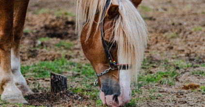 Mit adjunk, mit kerüljünk?