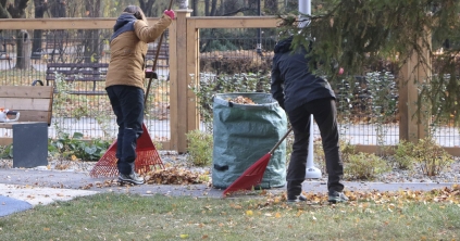 „Lombtalanítás” új formában