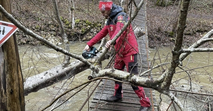 Hídra zuhant faágat távolítottak el és napelemet szereltek fel