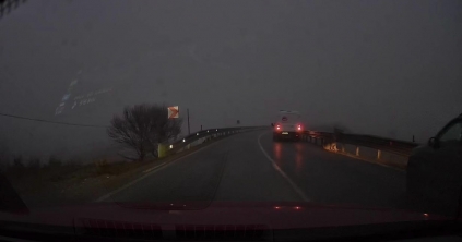 Szarvastehenet gázoltak el Csíkszereda közelében Szarvastehenet gázoltak el Csíkszereda közelében