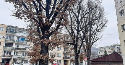 Folytatják a Kossuth Lajos negyed felújítását