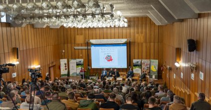 Az erdő mint stratégiai erőforrás az energiahordozók világában