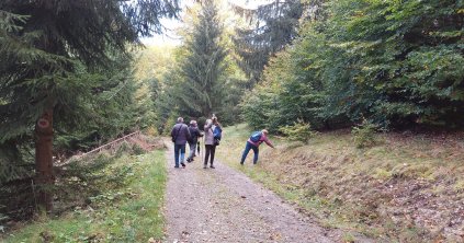 Zöld séta a Providentia Idősek Központjával
