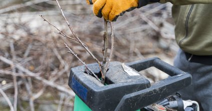 Aprítógépek a kiskertben