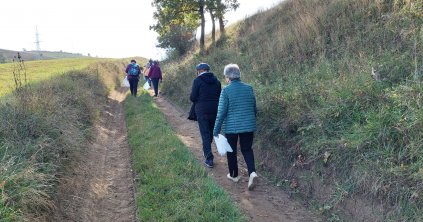 Zöld séta a Providentia Idősek Központjával