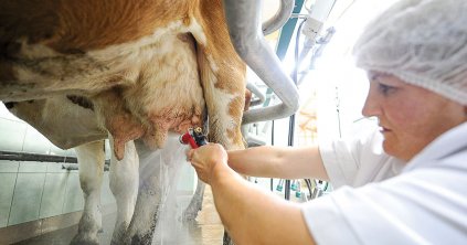 Ezért fontos a fejőgép rendszeres karbantartása