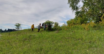 Zöld séta a Providentia Idősek Központjával