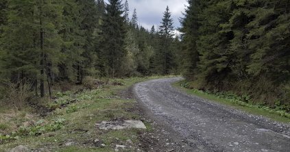 A terv megvan, pénz viszont nincs rá