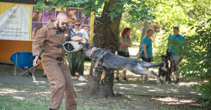 Családi és kutyabarát fesztivál Csíkszeredában