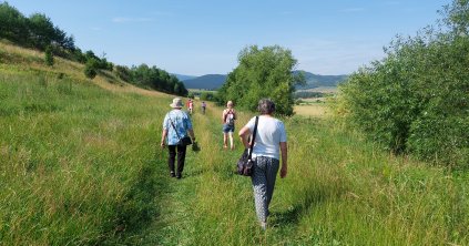 Senior zöld séta a Providentia Idősek Központjával