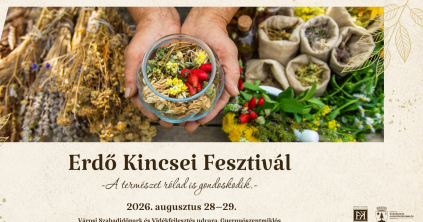 Erdő kincsei fesztivál