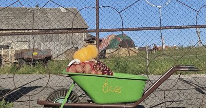 Engedély kell a termények házi eladásához