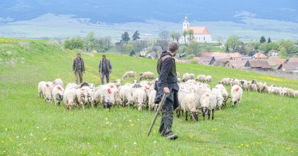 Tartalmas szakmai program gazdálkodóknak
