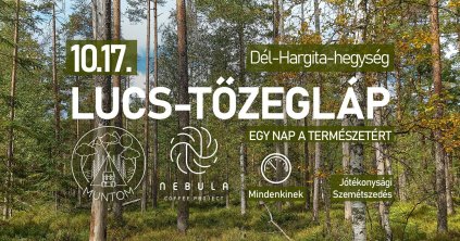 Szemétszedés a Lucs-tőzegláznál
