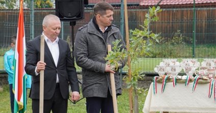 Hazatért a győzelmi tölgy