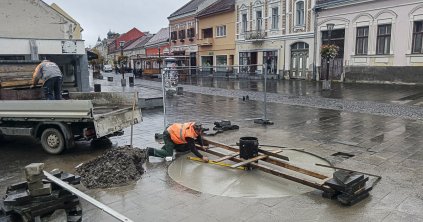 Karácsonyfa a virágágyásban
