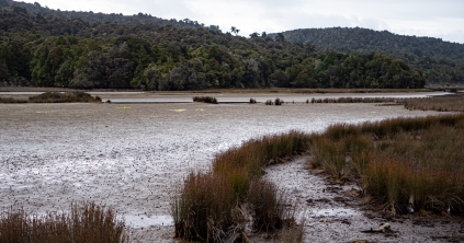 Másodfokú árvízriasztást adtak ki négy megyére