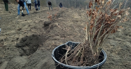 Diákok és önkéntesek is kiveszik részüket a munkából