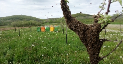 Ilyen lesz az időjárás a következő napokban