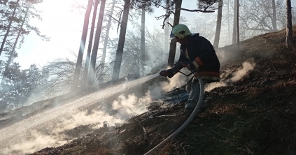 Ismét tűz van a Székelyudvarhely melletti Rez-tetőn