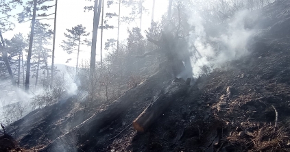 Több mint négyszáz juh és bárány pusztult el egy Fehér megyei tűzben
