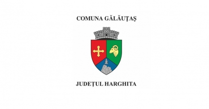 Hivatalosan is elfogadta a kormány Galócás zászlaját