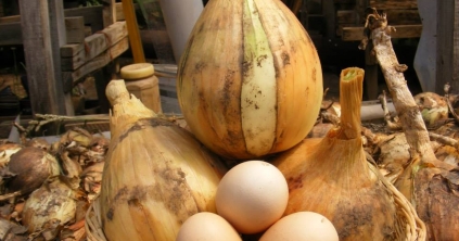 Van hely a csomagtartódban?