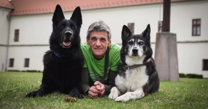 A filmben szereplő ebektől a mentőkutyákig