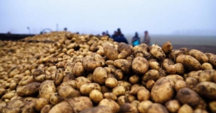 Éves összegzés: a földgáz, a burgonya és az étolaj drágult a legtöbbet