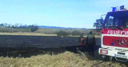 Háromezer lejre büntettek